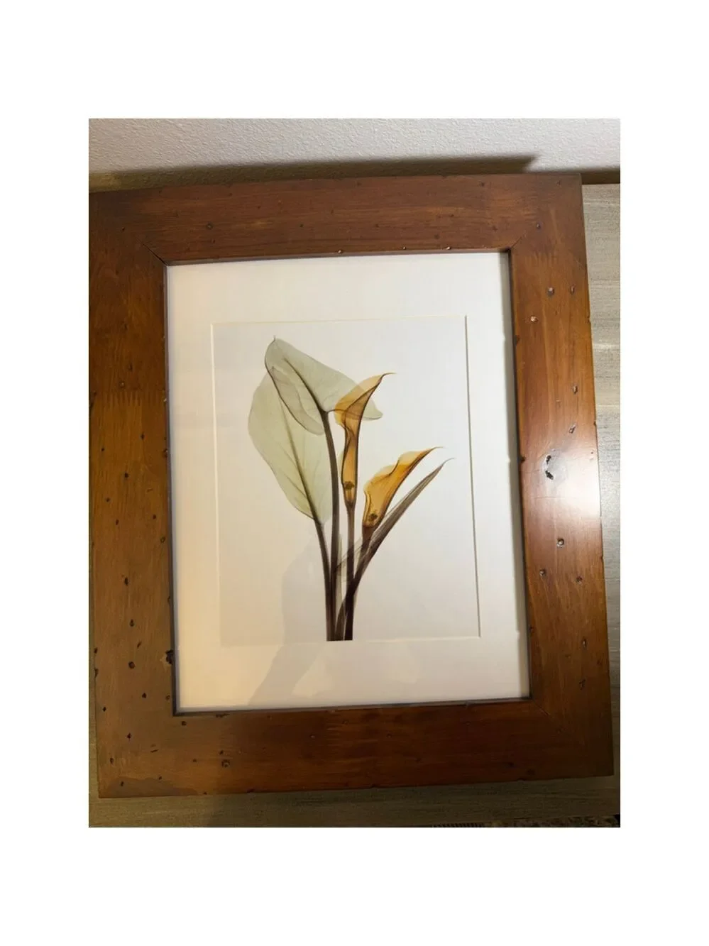 Framed Calla Lily art print approx. 15x18”